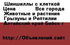 Шиншиллы с клеткой › Цена ­ 8 000 - Все города Животные и растения » Грызуны и Рептилии   . Алтайский край,Бийск г.